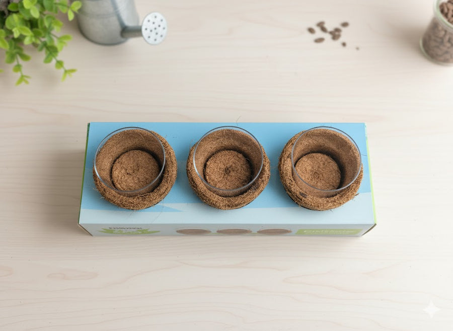 Soil Coins and Coir Pot Set