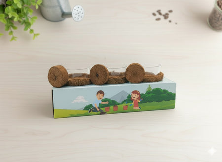 Soil Coins and Coir Pot Set