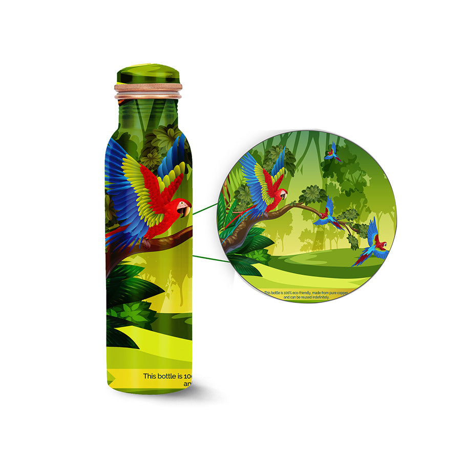 Aster Glass Water Bottle  Eco-Friendly Glass Reusable Water